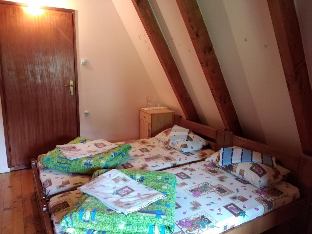 Durmitor Apartment