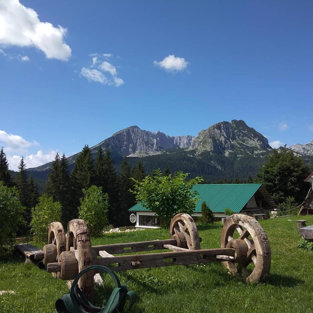 Durmitor Apartment *