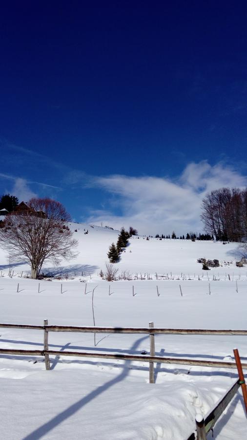 Durmitor *