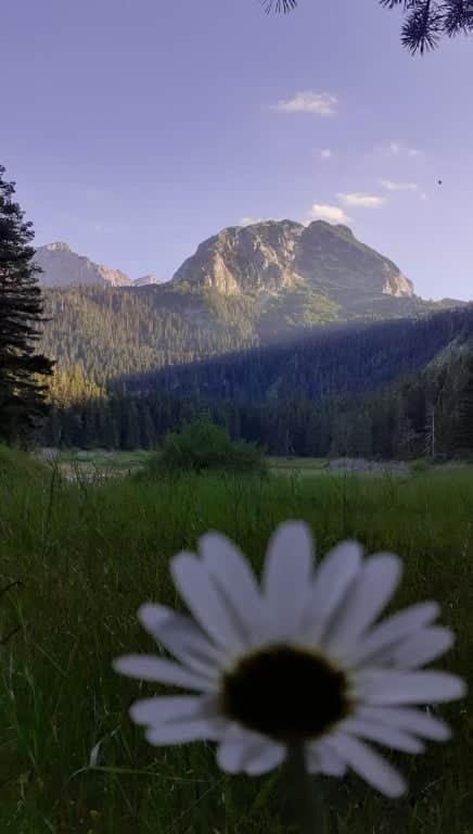 Appartement Durmitor *