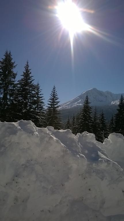 Durmitor Appartement *